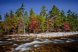 Swift River Prints: Swift River in Autumn, New Hampshire, USA