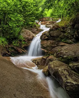 Watercourse Prints: Swiftwater Falls in spring, Falling Waters Trail