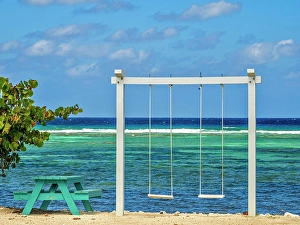 North Side Prints: Swing set on North Side on Grand Cayman, Cayman Islands, British West Indies