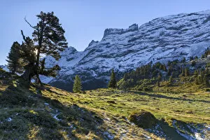 Images Dated 20th October 2021: Switzerland, Berner Oberland, Alp Engstlen