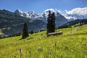 Images Dated 20th October 2021: Switzerland, Berner Oberland, Alp Winteregg