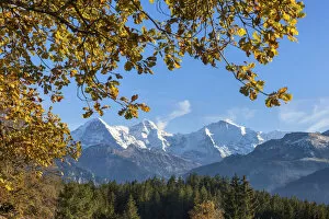 Images Dated 20th October 2021: Switzerland, Berner Oberland, Beatenberg, Eiger, Monch, Jungfrau