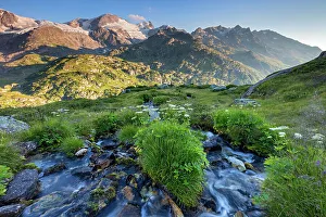 Switzerland, Berner Oberland, Gadmental, Sustenpass