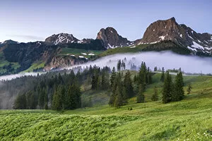 Switzerland, Berner Oberland, Gurnigel