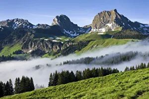 Switzerland, Berner Oberland, Gurnigel