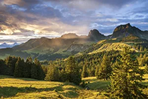 Switzerland, Berner Oberland, Gurnigel