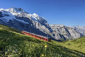 Switzerland, Berner Oberland, Kleine Scheidegg, Jungfraujoch train