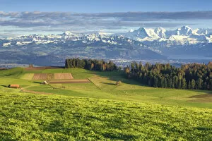 Switzerland, Berner Oberland, View from Butschelegg