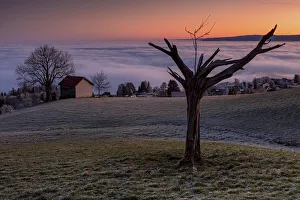 Above The Clouds Collection: Switzerland, Canton Appenzell, view from Schwarzenegg, morning light