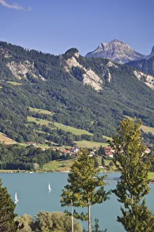 Switzerland, Canton of Fribourg, Gruyeres Lake