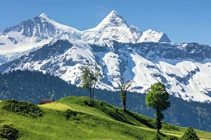 Images Dated 26th July 2022: Switzerland, Canton of Obwalden, Wetterhorn mountain, view from Lungern