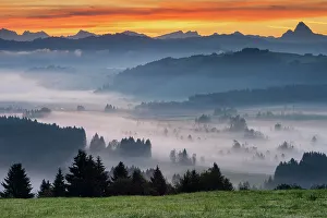 Trending: Switzerland, Canton of Schwyz, moor