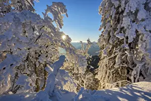Solothurn Prints: Switzerland, Canton of Solothurn, Grenchenberg mountain