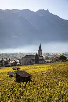 Images Dated 6th April 2021: Switzerland, Canton of Valais, Fully, Vineyards landscape around Fully