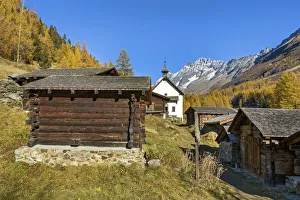 Images Dated 29th October 2021: Switzerland, Canton of Valais, KAohmad alp, Laotschental valley