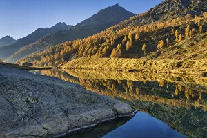 Images Dated 29th October 2021: Switzerland, Canton of Valais, lake Grundsee, Lotschental valley, Larches