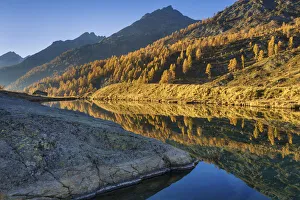 Images Dated 29th October 2021: Switzerland, Canton of Valais, lake Grundsee, Lotschental valley, Larches