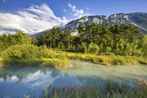 Images Dated 29th October 2021: Switzerland, Canton of Valais, Rhone river, Pfynwald forest