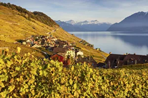 Switzerland, Canton of Vaud, Lake Geneva, Lavaux UNESCO world heritage site