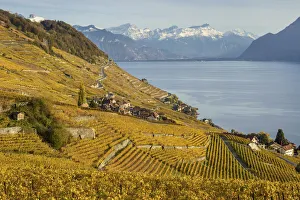 Switzerland, Canton of Vaud, Lake Geneva, Lavaux UNESCO world heritage site