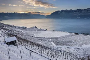 Switzerland, Canton of Vaud, Lake Geneva, Lavaux UNESCO world heritage site