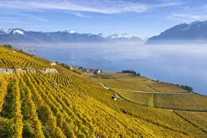 Switzerland, Canton of Vaud, Lake Geneva, Lavaux UNESCO world heritage site