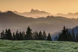 Images Dated 15th November 2021: Switzerland, Canton of Vaud, Swiss alps, Pyas d Enhaut Nature park