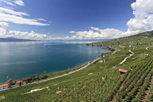 Images Dated 31st January 2011: Switzerland, Vaud, Lavaux Vineyards and Lac Leman / Lake Geneva