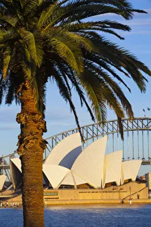 Opera House Prints: Sydney Opera House & Harbour Bridge, Darling Harbour, Sydney, New South Wales, Australia