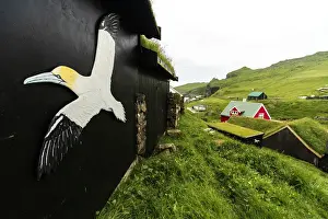 Faroese Prints: Symbol of Northern Gannet seabird on outside walls of house, Mykines island, Faroe