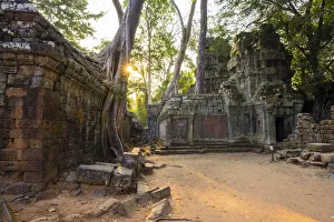 Ta Prohm Prints: Ta Prohm temple (Rajavihara), Angkor, UNESCO World Heritage Site, Siem Reap Province