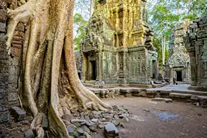 Ta Prohm temple ruins, Angkor, UNESCO World Heritage Site, Siem Reap Province, Cambodia