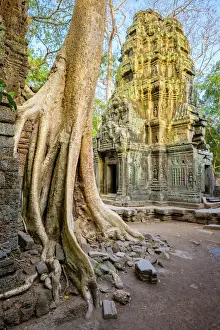 Ta Prohm Prints: Ta Prohm temple ruins, Angkor, UNESCO World Heritage Site, Siem Reap Province, Cambodia
