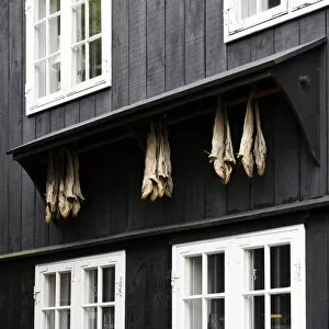 TAA┬│rshavn, Faroe Islands, Europe. Dry codfish out of a typical house