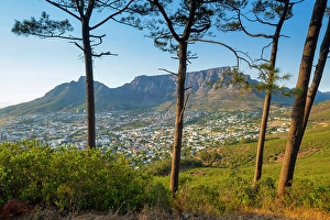 Table Mountan & Cape Town, Western Cape, South Africa