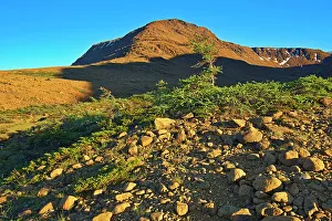 Newfoundland Prints: The Tablelands at sunset. Earth's mantle exposed
