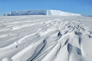 Weddell Sea Prints: Tabular iceberg frozen in - Antarctica, Weddell Sea, Riiser Larsen Ice Shelf