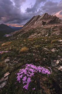 French Alps Gallery: Taillante peak in the French Alps during a summer sunset, Sothern France