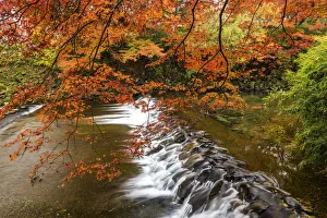 Takano River in Autumn, Kyoto, Japan