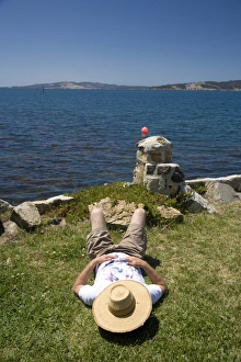 Humour Prints: Taking a siesta in the sun
