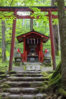 Tori Gate Prints: Takino'o Shrine of Futarasan Temple (UNESCO World Heritage Site)