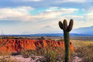 Altiplano Prints: Tall cactus amidst colorful rock formations, Quebrada de las Conchas, Salta, Argentina