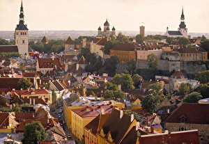 Tallinn Prints: Tallinn, Estonia