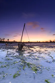 Tanzania. Zanzibar, Jambiani Beach, Dhow (traditional imbarcation) exposed at low tide