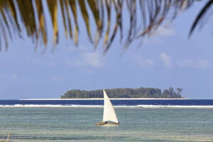 Tanzania. Zanzibar, Kigomani, Dhow (traditional sailboat), Mnemba Island visible in