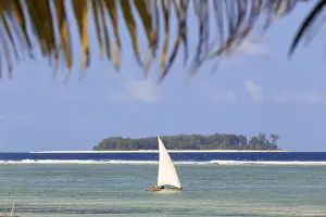 Dhow Prints: Tanzania. Zanzibar, Kigomani, Dhow (traditional sailboat), Mnemba Island visible in