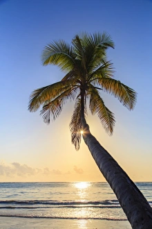 Zanzibar Prints: Tanzania. Zanzibar, Matemwe, Beach at dawn