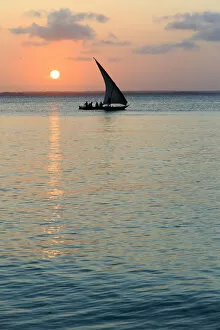 Images Dated 26th October 2017: Tanzania. Zanzibar, Michamvi Village, Dhows (traditional sailboats) saling at sunset