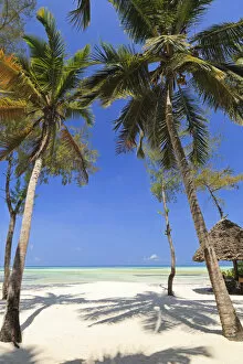 Images Dated 7th March 2012: Tanzania, Zanzibar, Unguja, Pongwe. The view out so sea from the Pongwe Beach Hotel