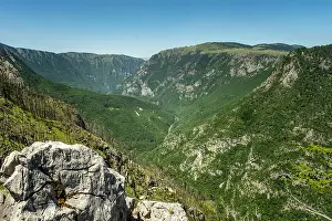 Tara Canyon Prints: Tara Canyon, Durmitor National Park, Montenegro
